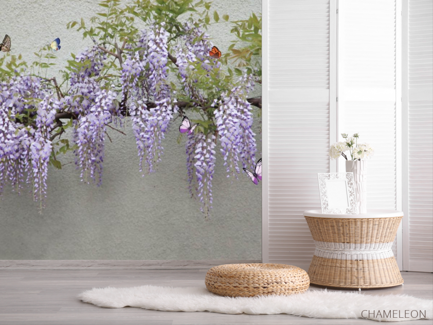 Фотошпалери Гліцинія - 2