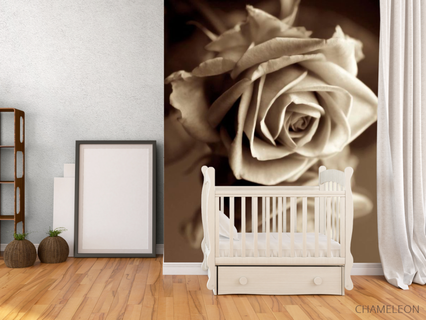 Фотообои Роза сепия - 2