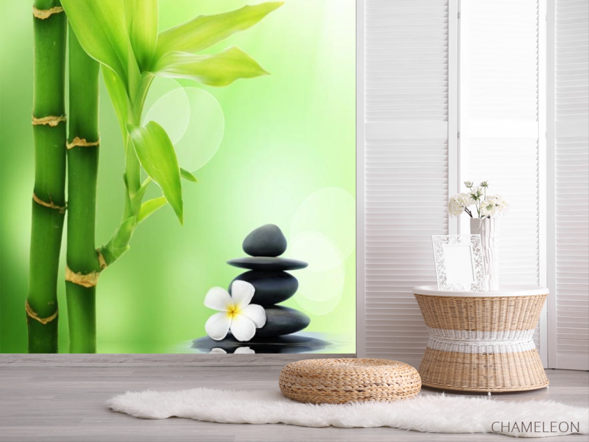 Фотошпалери бамбук в воді - 2