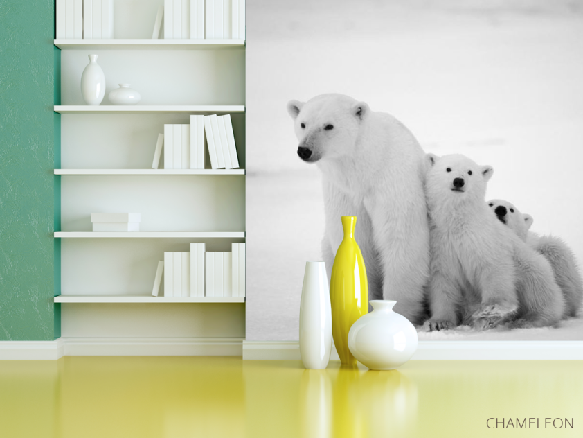 Фотошпалери Полярні ведмеді - 3