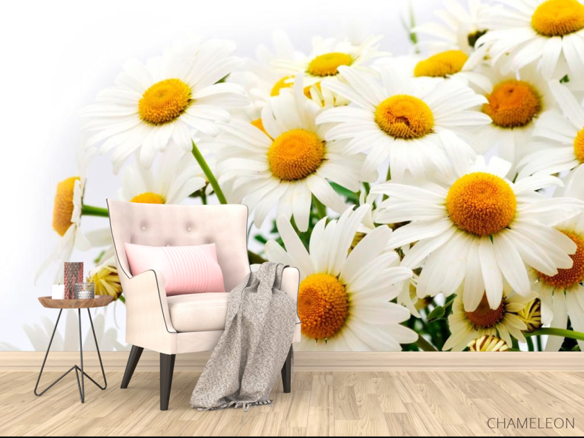 Фотообои Букет полевых ромашек - 4