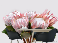 Фотошпалери Букет екзотика - 1