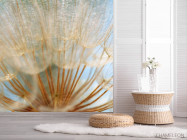 Фотошпалери Макро-зйомка кульбаба - 2