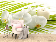 Фотообои Белая орхидея - 4