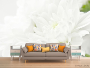 Фотообои Белые хризантемы - 1