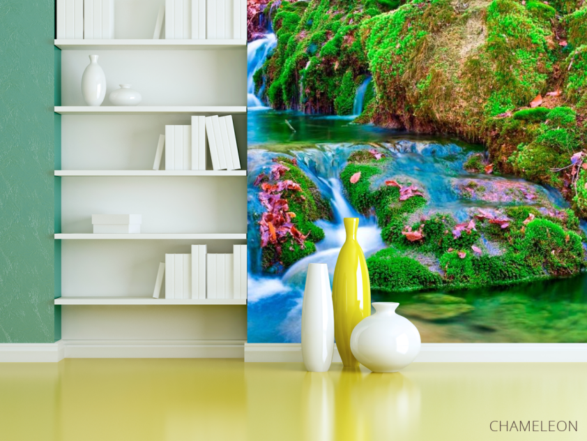 Фотошпалери Мох, вода - 3