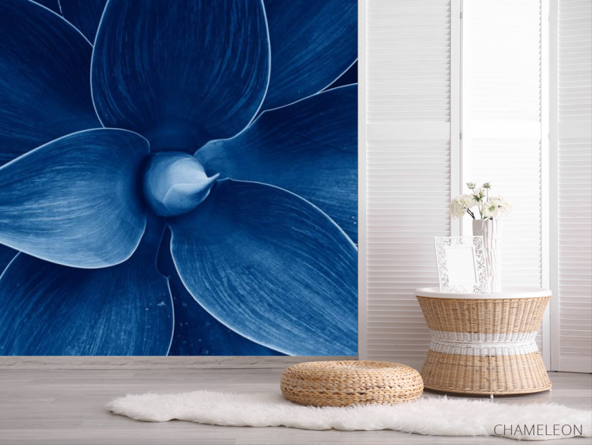Фотошпалери синій квітка - 2