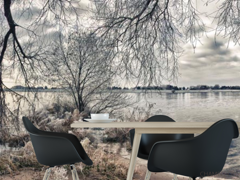 Фотошпалери Чорно біле узбережжі - 1