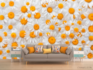 Фотообои Ромашки яркие - 1