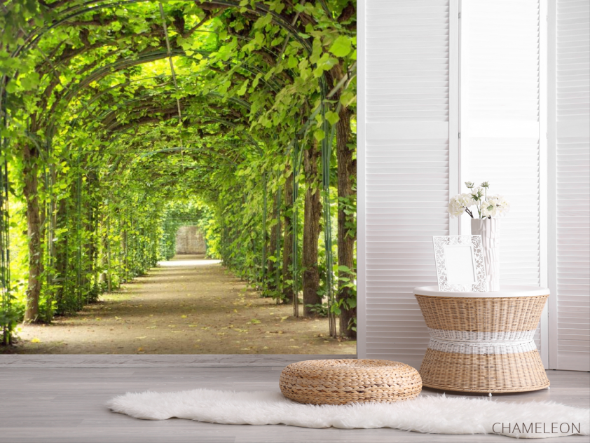 Фотошпалери зелена арка - 2