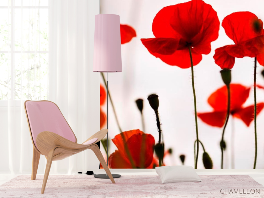 Фотошпалери Маки польові червоні - 4