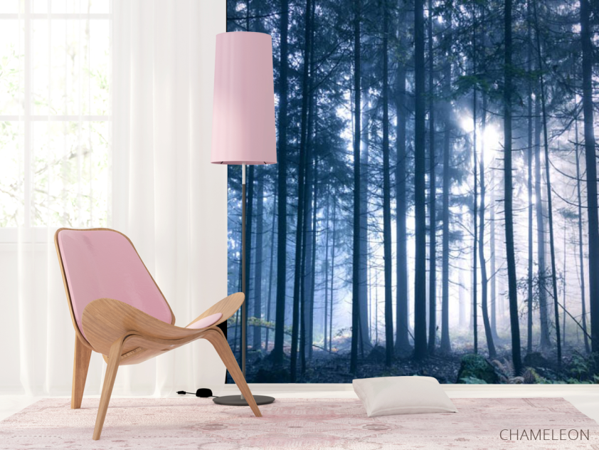 Фотошпалери ліс - 4