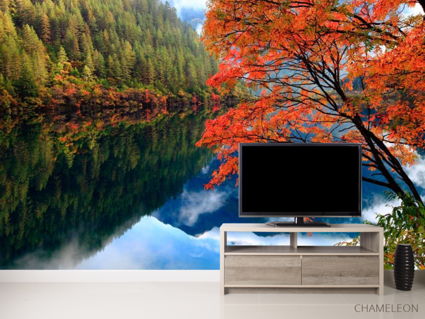 Фотообои Отражение, лес, вода - 2