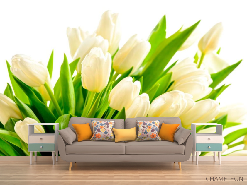 Фотообои Тюльпаны - 1