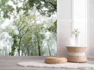 Фотошпалери ліс - 2