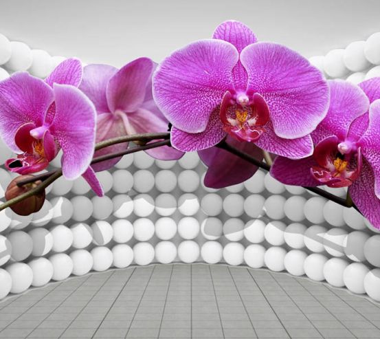 Фотошпалери 3Д орхідея 28941
