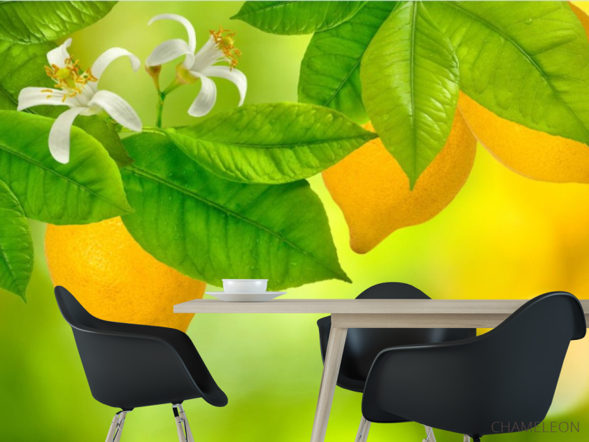 Фотошпалери Лимон - 1