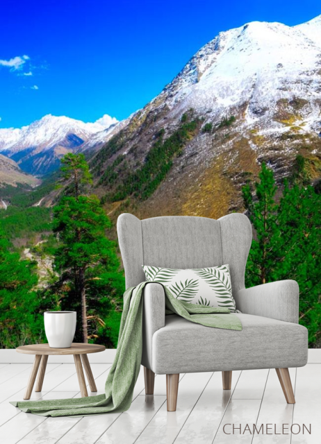 Фотообои Месяц, гора, ёль - 3