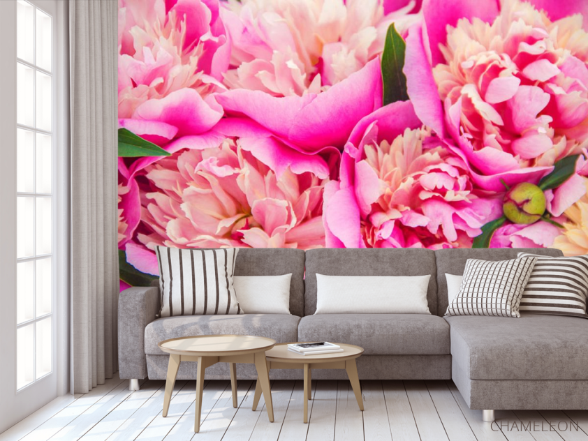 Фотообои Ярко розовые пионы - 3