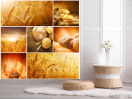 Фотошпалери Пшениця, хліб - 2