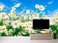 Фотообои Ромашки в степи - 2