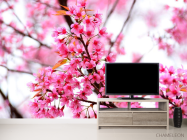 Фотообои Цветущее розовое дерево - 2