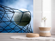 Фотошпалери М'яч у сітці - 2