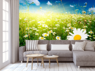 Фотообои Восход в ромашковом поле - 3