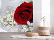 Фотошпалери Роза і перли - 2