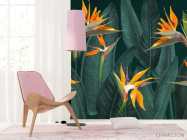 Фотошпалери квіти стреліції - 4