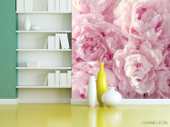 Фотошпалери пухнасті рожеві півонії - 3