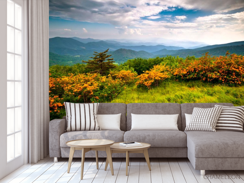 Фотообои Дикое дыхание, горы - 3