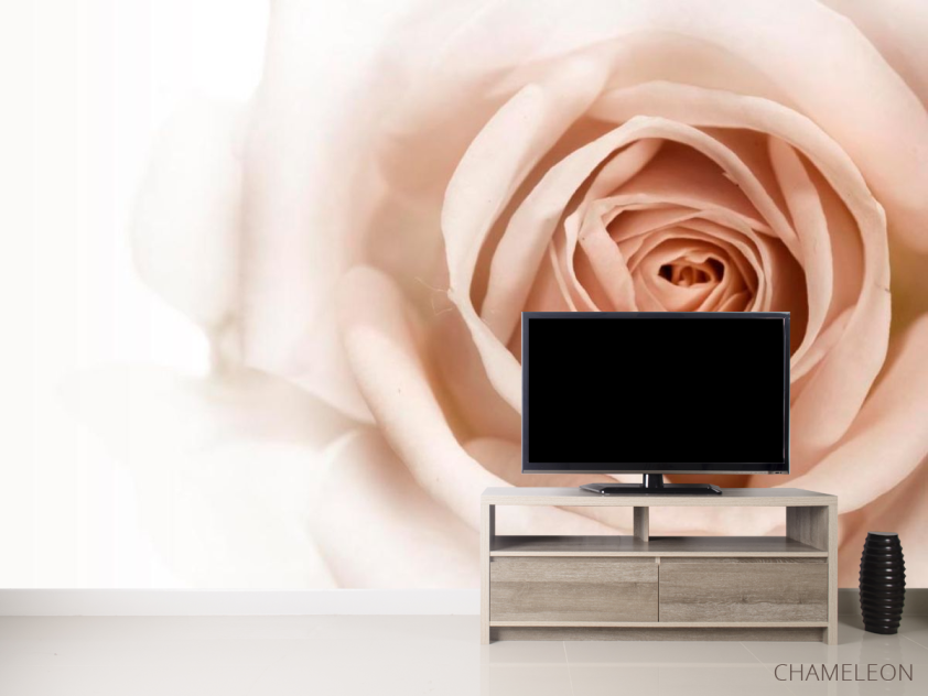 Фотообои Роза кремово-коричневая - 2