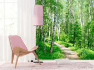 Фотошпалери Ліс, берізки - 4