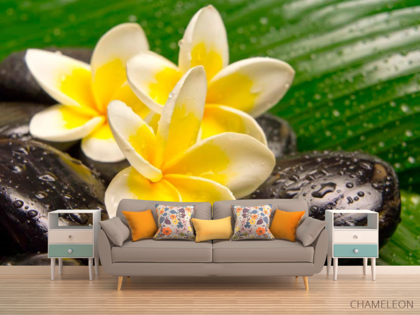 Фотообои Цветы, камни, роса - 1