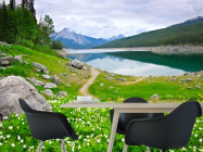 Фотошпалери Берег, квіти - 1