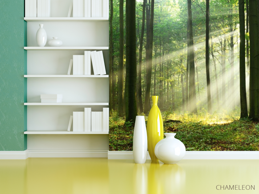 Фотошпалери сонячні промені в лісі - 3