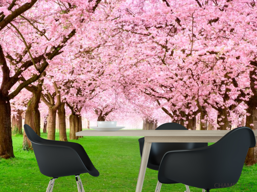 Фотошпалери Квітучі вишні - 1