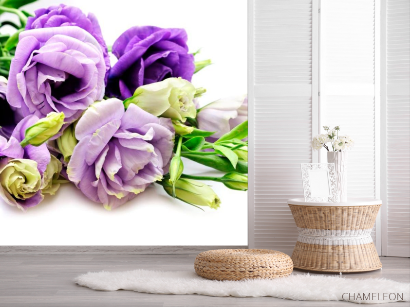 Фотошпалери Троянди бузкові - 2