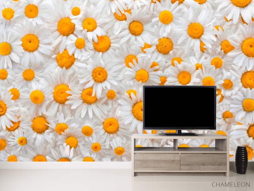 Фотообои Ромашки яркие - 2