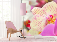 Фотошпалери Орхідеї в цяточку - 4