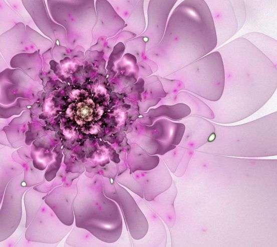 Фотообои Синеревый цветок Фотообои Синеревый цветок 3078