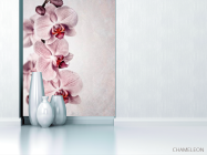 Фотообои Серенькие орхидеи - 1