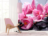 Фотошпалери Орхідеї блідо-рожеві - 4