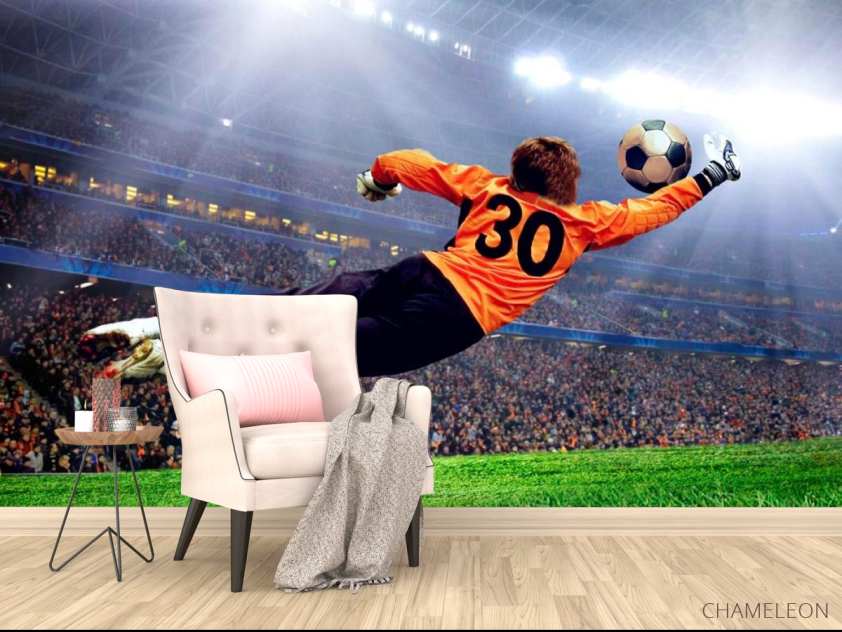 Фотообои Вратарь ловит мяч - 4