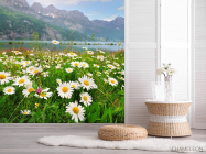 Фотошпалери ромашки і гори - 2