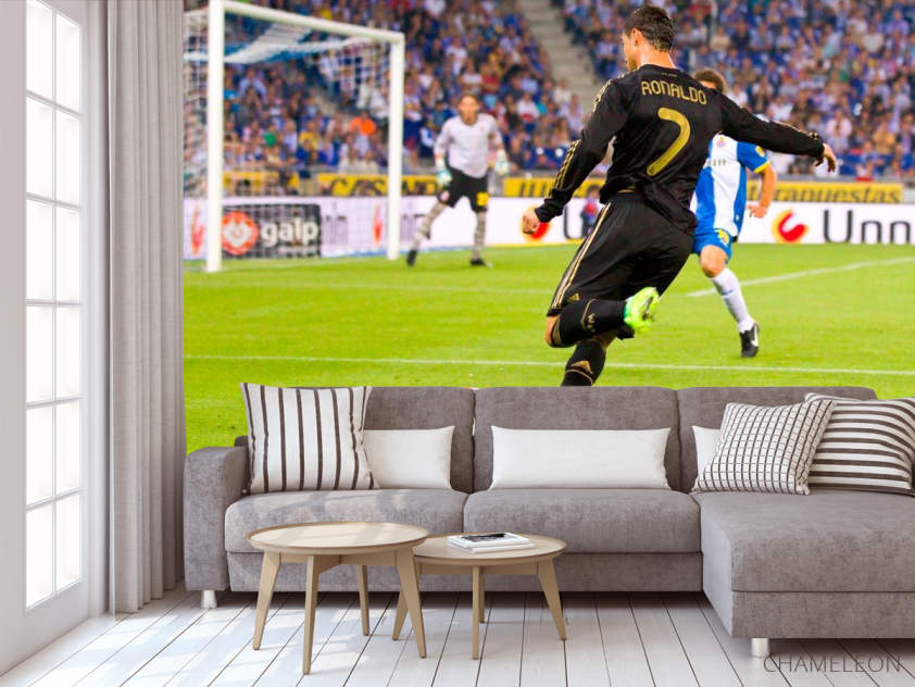 Фотообои Роналдо атакует ворота - 3