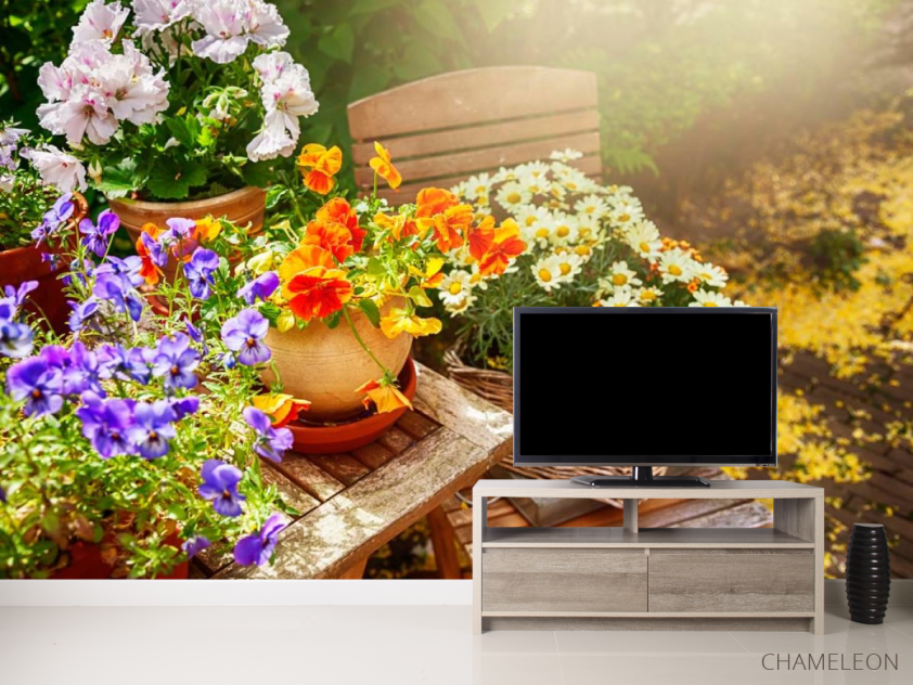 Фотообои Ромашки - 2