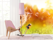 Фотошпалери кульбаба в полі - 4