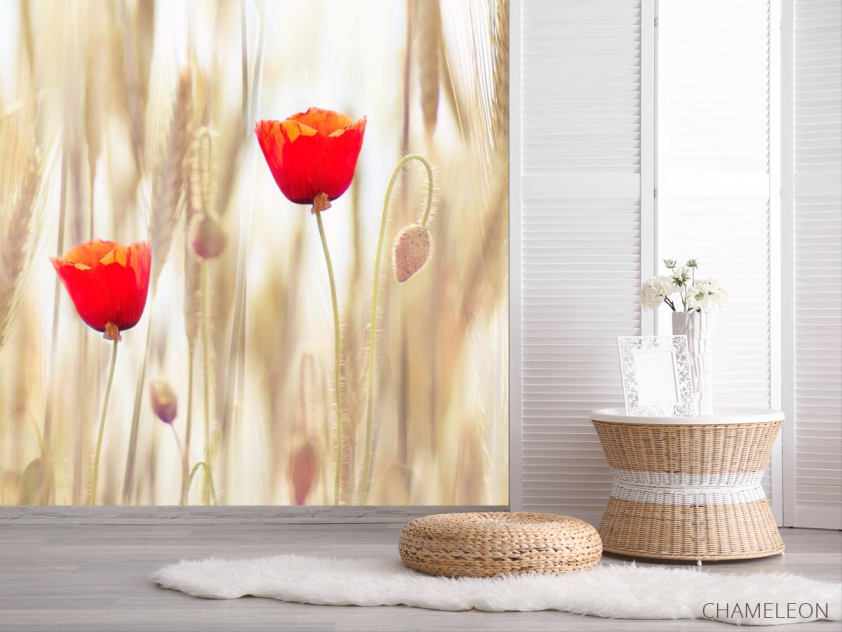 Фотошпалери Маки в полі - 2